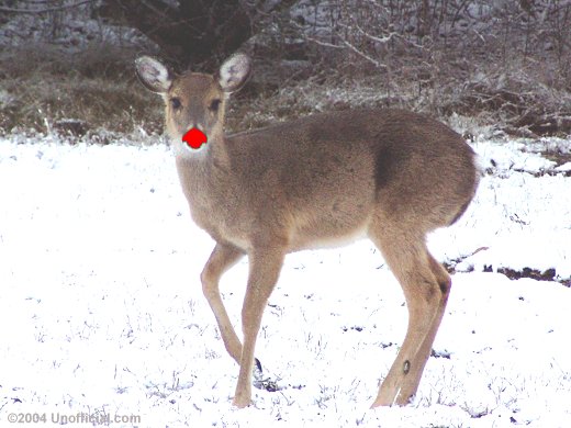 Photo in northwest Travis County, Texas
