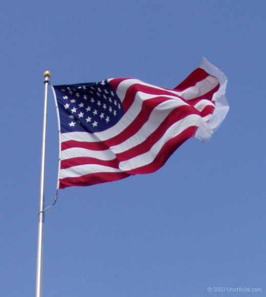 Veteran's Day, 2013