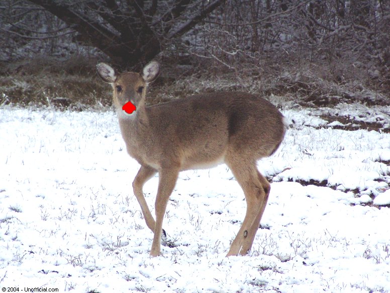 in northwest Travis County, Texas