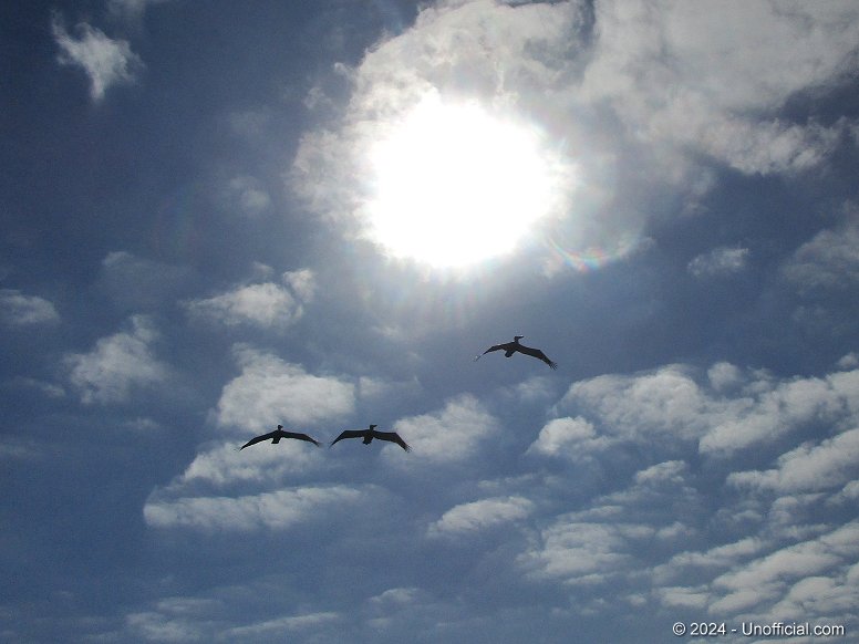 Airborne - Boca Chica Beach, Boca Chica, Texas