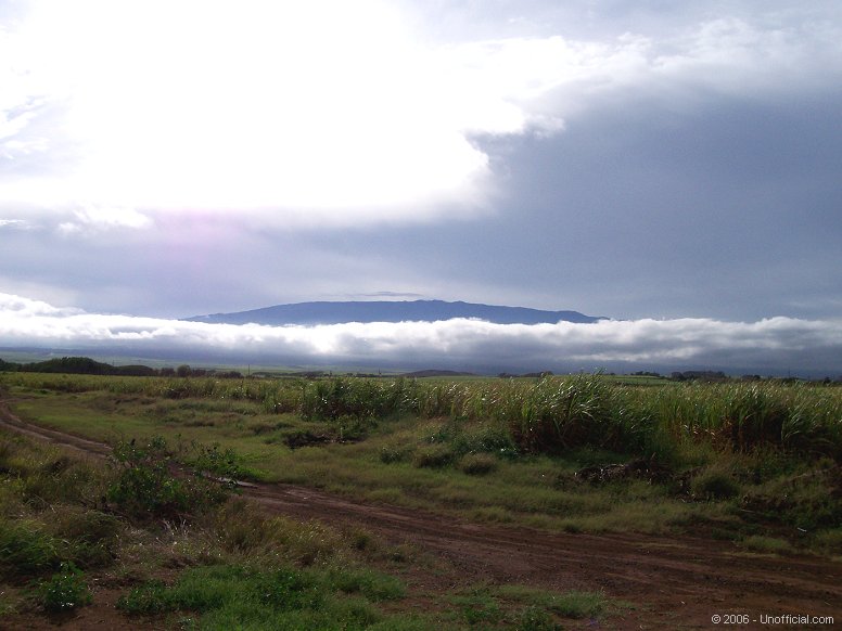 Above the Clouds on Haleakala Volcano, Maui, Hawai'i