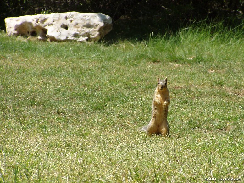 Standup Comedian in northwest Travis County, Texas
