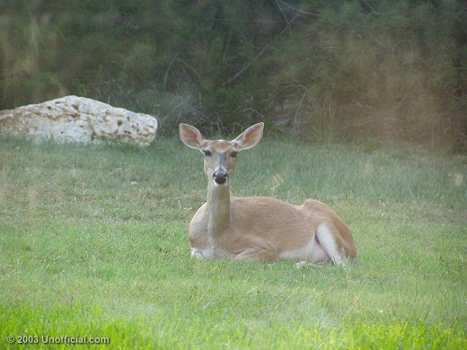 in northwest Travis County, Texas