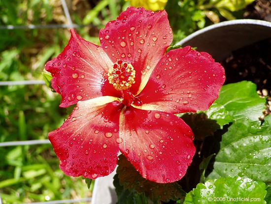 in northwest Travis County, Texas