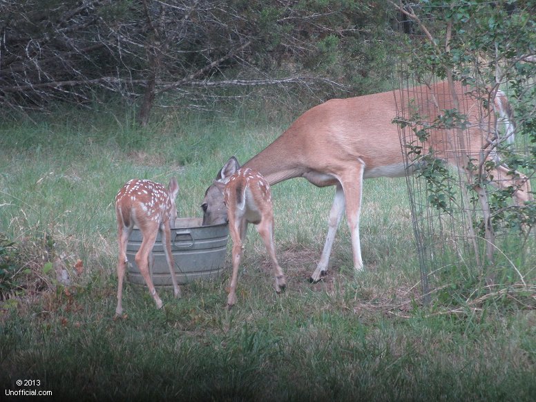 Happy Hour in northwest Travis County, Texas