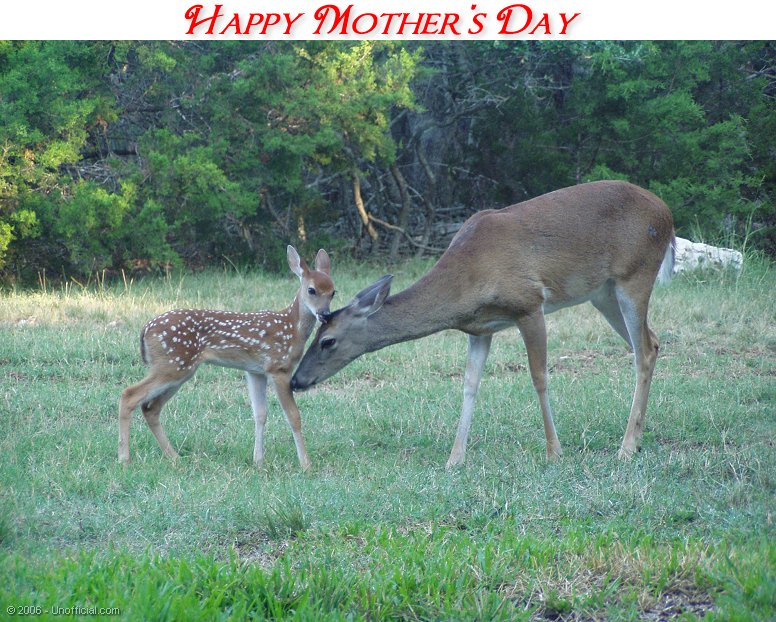 Mother's Day in northwest Travis County, Texas