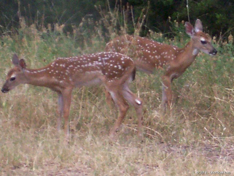 in northwest Travis County, Texas