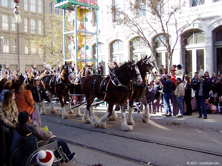 Clydesdales at Dickens on The Strand Parade, Galveston, Texas