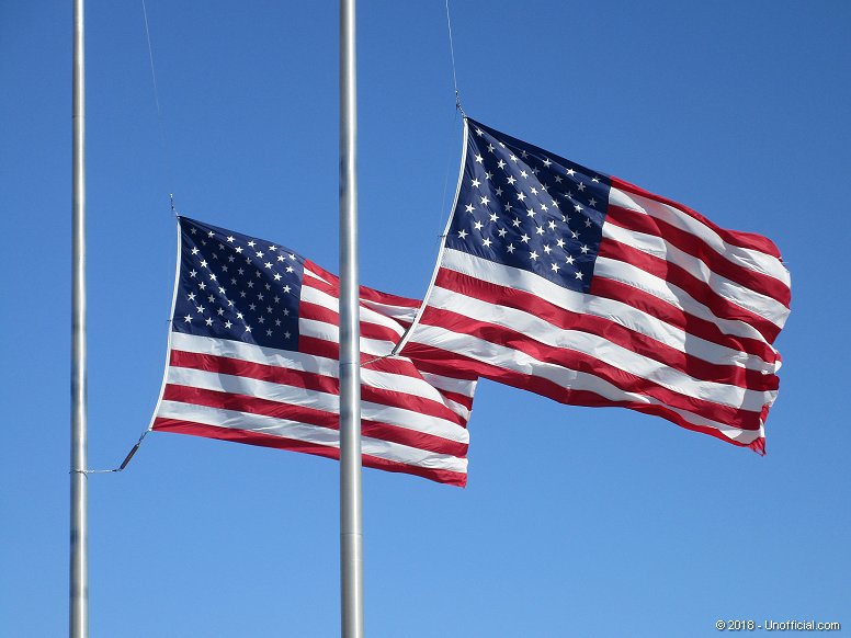 Flag Day - 2019
